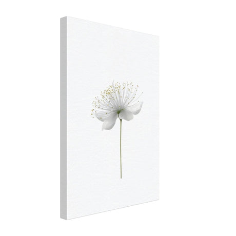 Da Vinci Nature Wall art | Floral - Canvas - 30x45 cm / 12x18″ - Slim