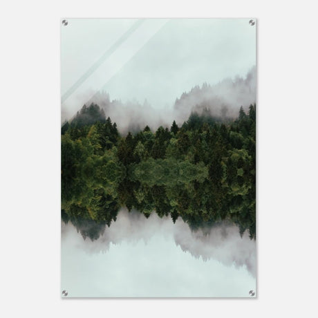 Da Vinci Nature Wall art print - Acrylic Print - 70x100 cm / 28x40″ - 