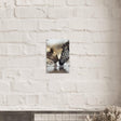 Da Vinci Nature Wall art | Wild Life prints | Lion Zebra - Acrylic Print - 30x45 cm / 12x18″ - 
