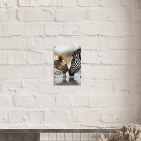 Da Vinci Nature Wall art | Wild Life prints | Lion Zebra - Acrylic Print - 30x45 cm / 12x18″ - 