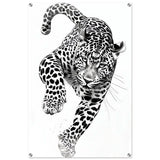 Da Vinci Nature Wall art | Wildlife | Leopard - Acrylic Print - 60x90 cm / 24x36″ - 