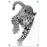 Da Vinci Nature Wall art | Wildlife | Leopard - Acrylic Print - 40x60 cm / 16x24″ - 