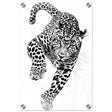 Da Vinci Nature Wall art | Wildlife | Leopard - Acrylic Print - 30x45 cm / 12x18″ - 