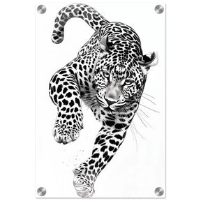 Da Vinci Nature Wall art | Wildlife | Leopard - Acrylic Print - 30x45 cm / 12x18″ - 
