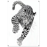 Da Vinci Nature Wall art | Wildlife | Leopard - Acrylic Print - 70x100 cm / 28x40″ - 