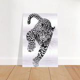 Da Vinci Nature Wall art | Wildlife | Leopard - Brushed Aluminum Print - 40x60 cm / 16x24″ - 