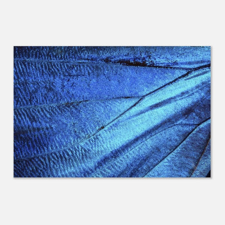 Da Vinci Wall Art | Blue Butterfly Wing - Aluminum Print - 60x90 cm / 24x36″ - 
