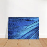 Da Vinci Wall Art | Blue Butterfly Wing - Brushed Aluminum Print - 70x100 cm / 28x40″ - 