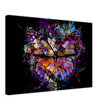 Da Vinci Wall art Print | Eclectic Expressions | Butterfly - Canvas - 40x60 cm / 16x24″ - Thick
