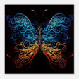 Da Vinci Wall art Print | Eclectic Expressions | Butterfly - Wood Prints - 50x50 cm / 20x20″ - 20 mm
