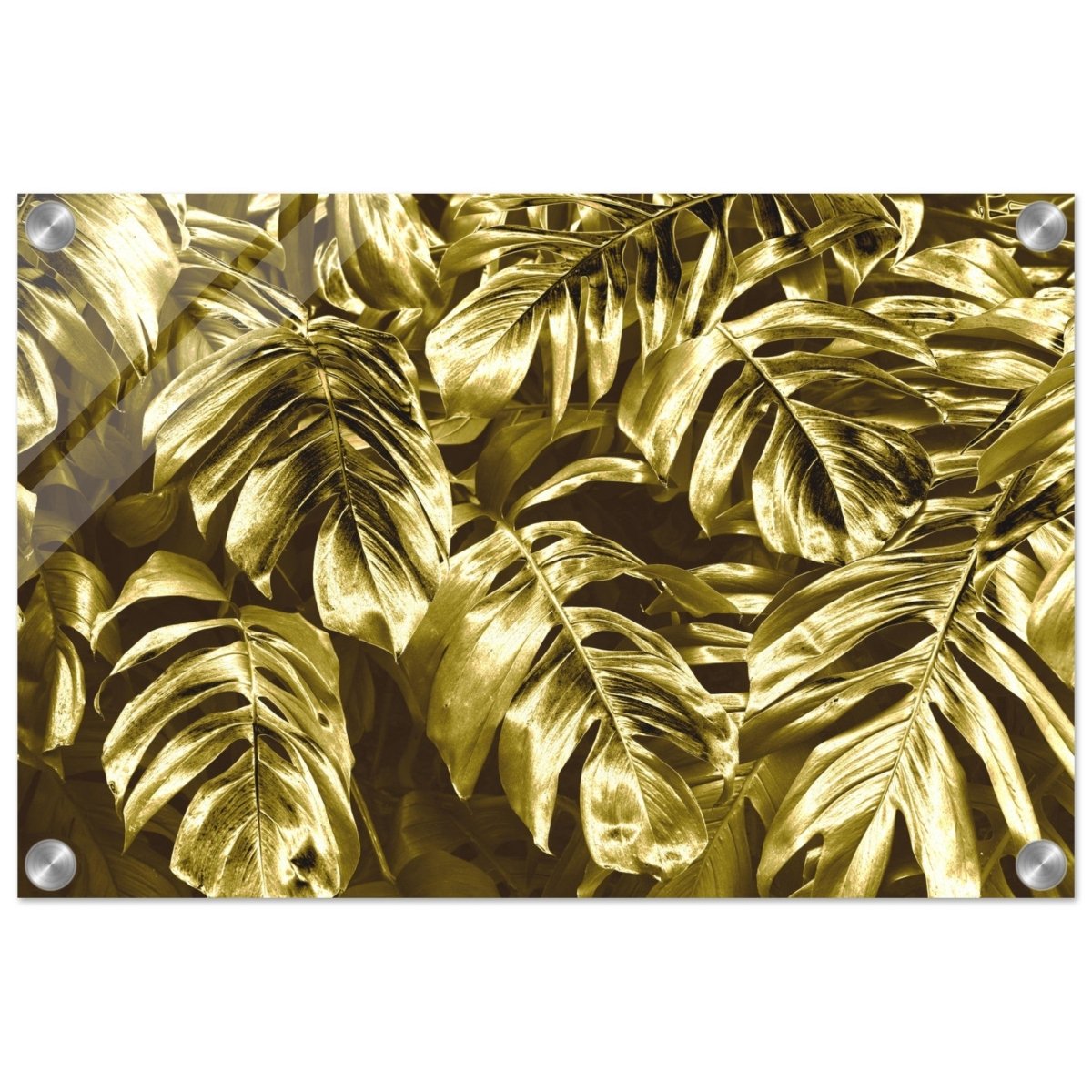 Da Vinci Wall art Print | Eclectic Expressions | Golden Leaf - Acrylic Print - 30x45 cm / 12x18″ - 