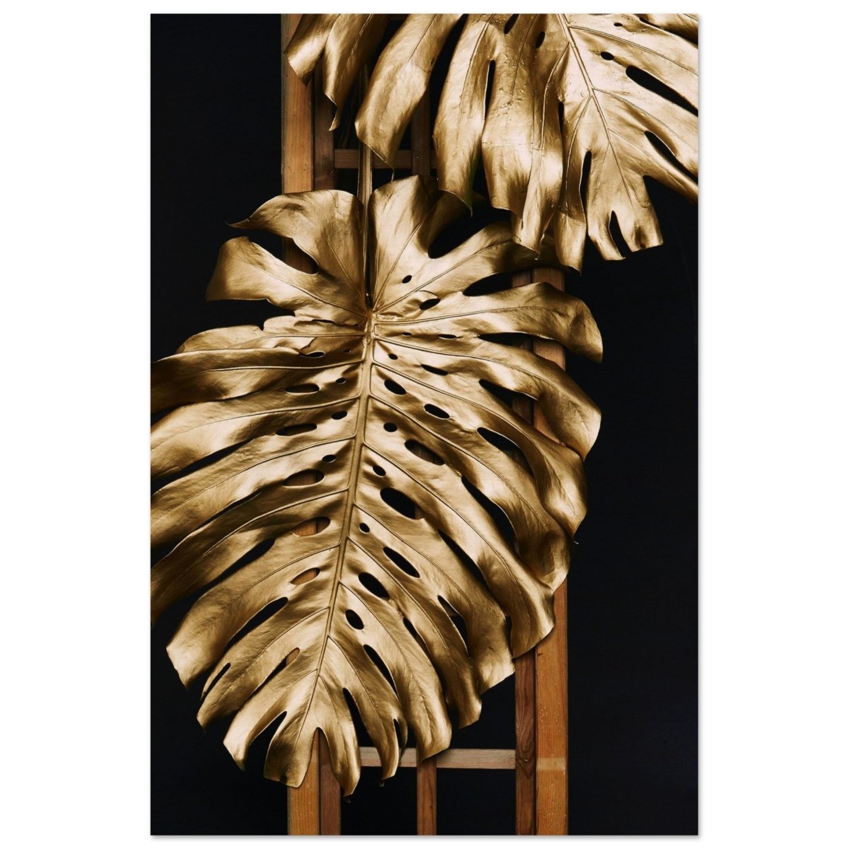Da Vinci Wall art Print | Eclectic Expressions - Wood Prints - 50x75 cm / 20x30″ - 