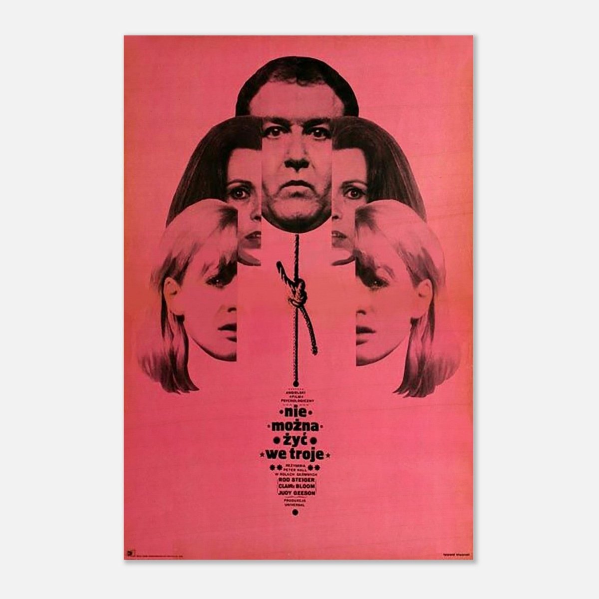 Da Vinci Wall art Print | Pop art wall art print collection - Wood Prints - 40x60 cm / 16x24″ - 10 mm