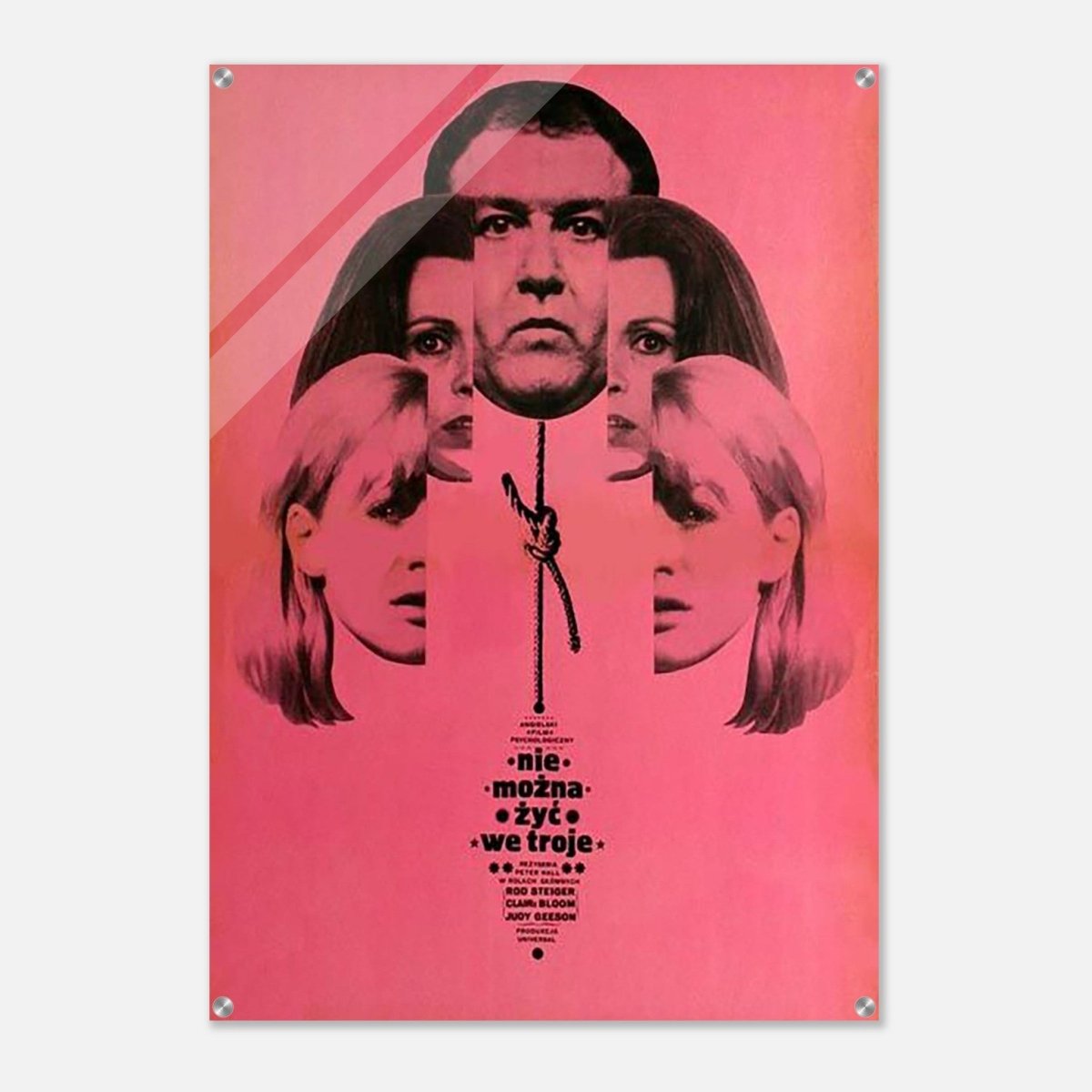 Da Vinci Wall art Print | Pop art wall art print collection - Acrylic Print - 70x100 cm / 28x40″ - 