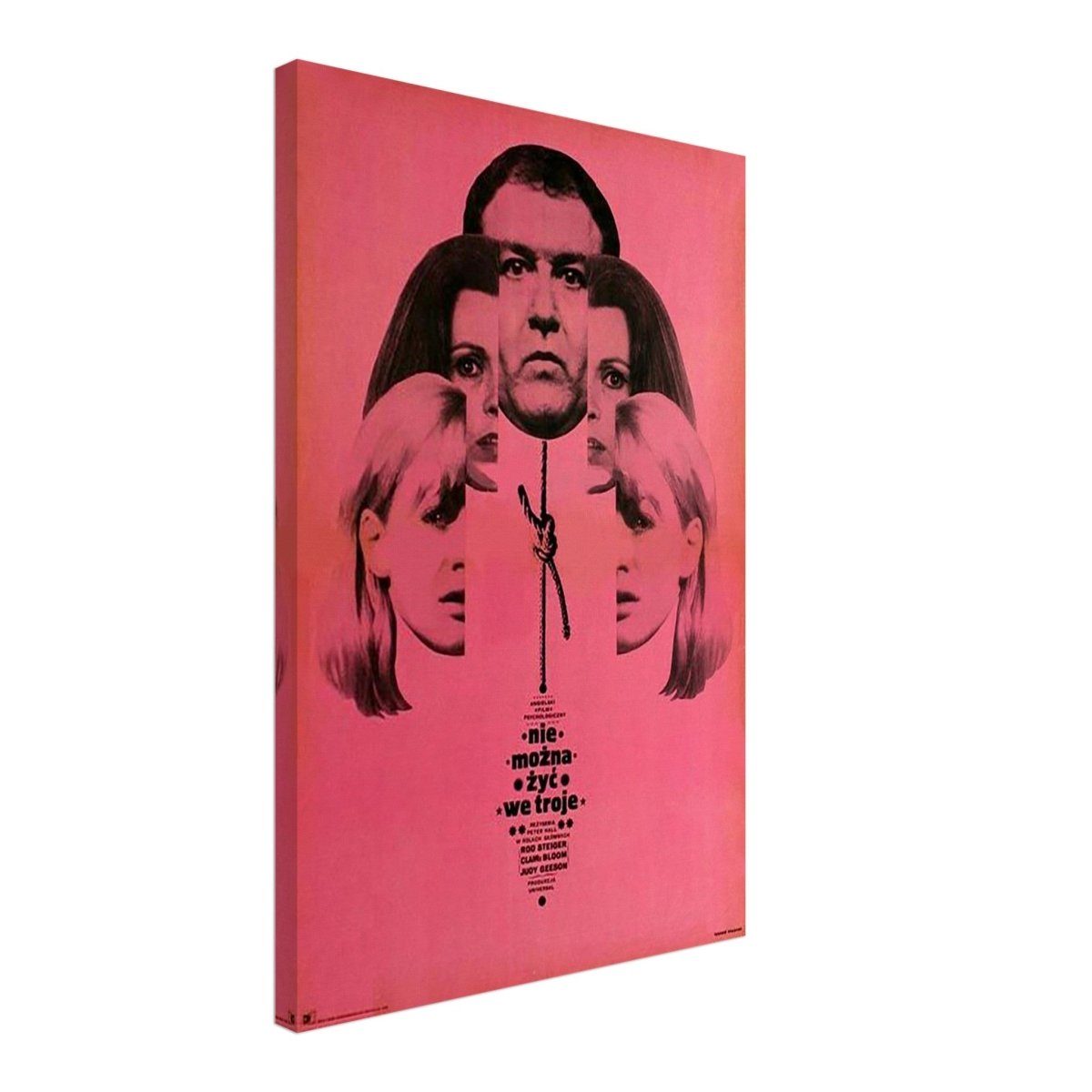 Da Vinci Wall art Print | Pop art wall art print collection - Canvas - 40x60 cm / 16x24″ - Slim