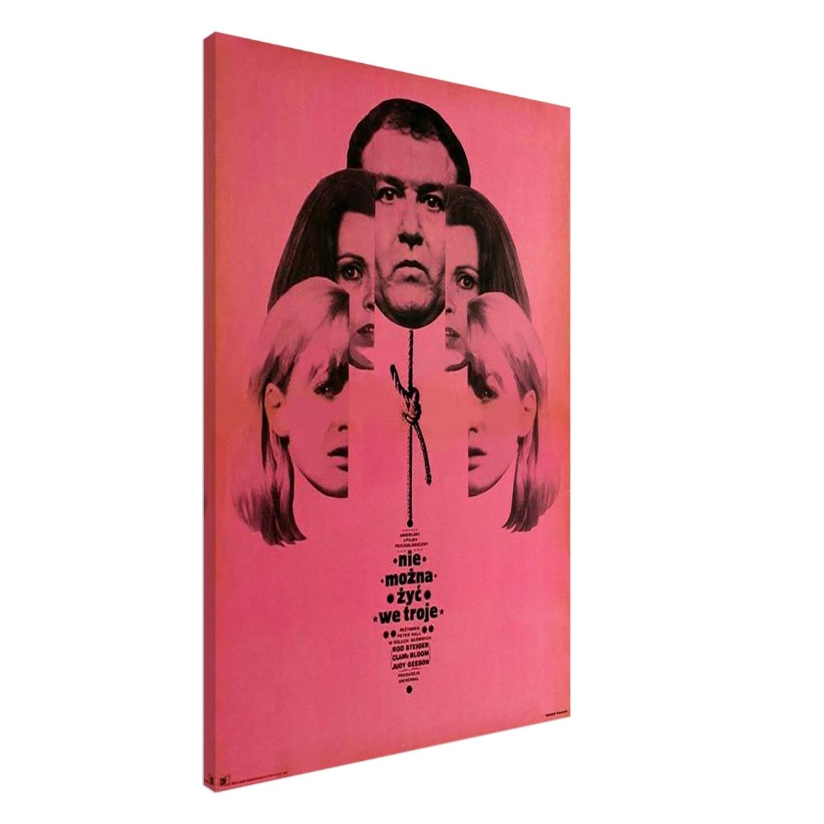 Da Vinci Wall art Print | Pop art wall art print collection - Canvas - 60x90 cm / 24x36″ - Slim
