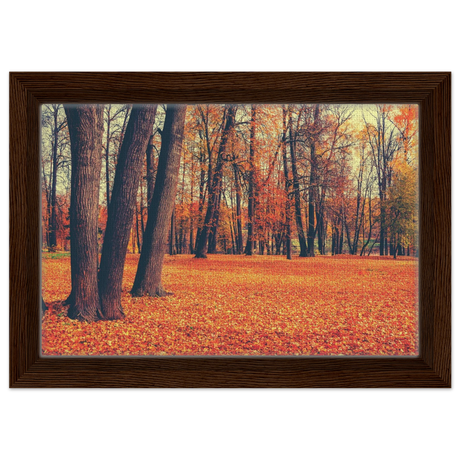 golden silence in autumn a tranquil forest escape wall art print30x45 cm / 12x18″Framed Canvas