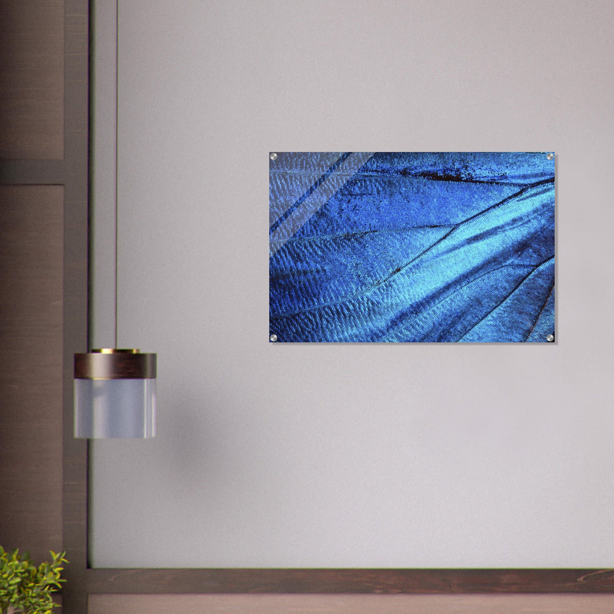  wall art blue butterfly wing
