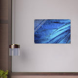  wall art blue butterfly wing