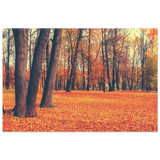 golden silence in autumn a tranquil forest escape wall art print30x45 cm / 12x18″Acrylic Print