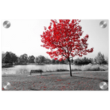 e2a2a4f0-8372-4b7b-b685-427237f989db