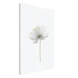da vinci nature wall art floral 1