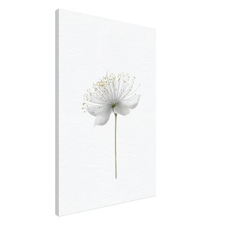 da vinci nature wall art floral 1
