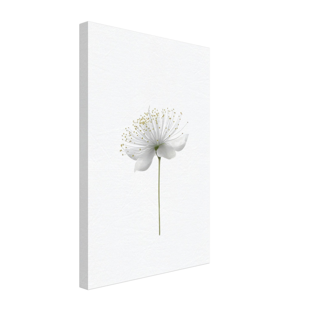 da vinci nature wall art floral 1