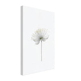 da vinci nature wall art floral 1