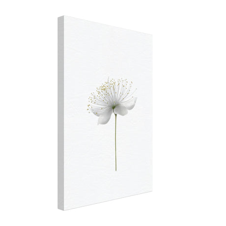 da vinci nature wall art floral 1