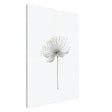 da vinci nature wall art floral 1