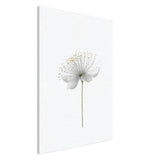da vinci nature wall art floral 1