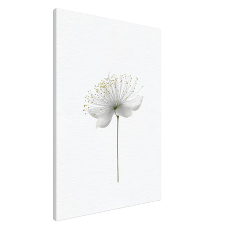 da vinci nature wall art floral 1
