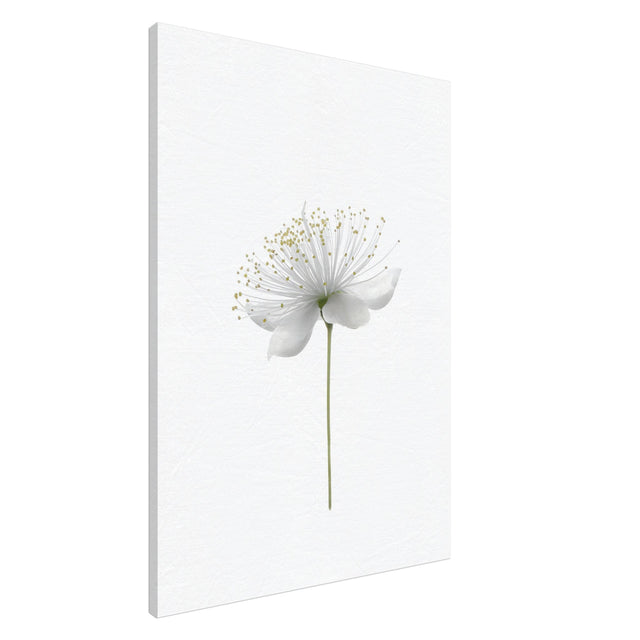 da vinci nature wall art floral 1