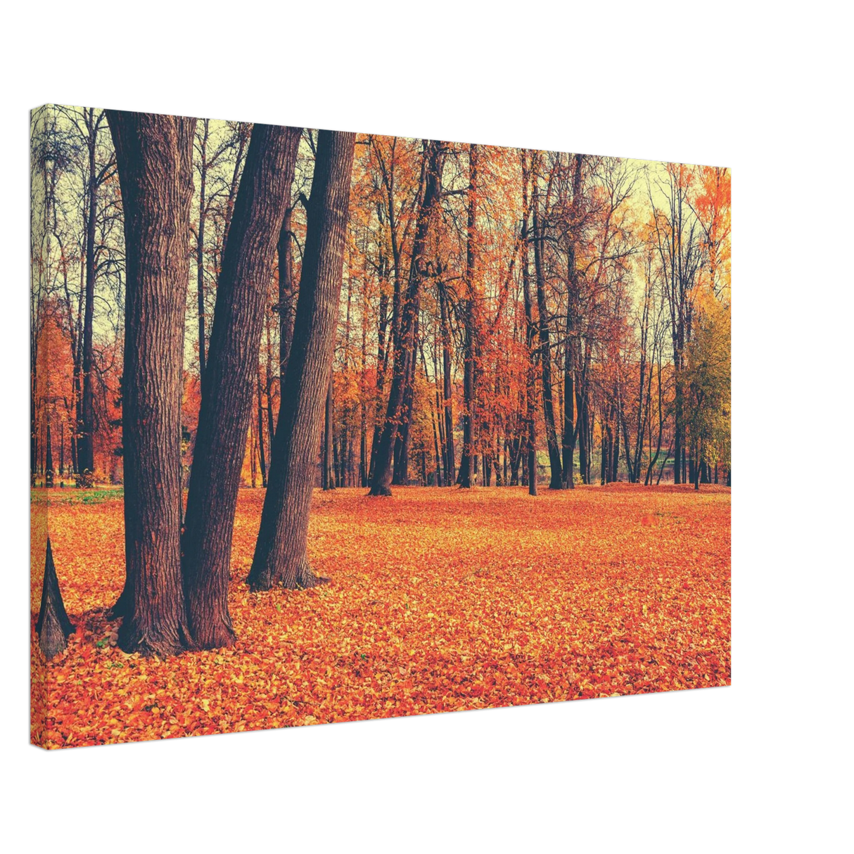 golden silence in autumn a tranquil forest escape wall art print70x100 cm / 28x40″Canvas