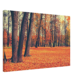 golden silence in autumn a tranquil forest escape wall art print70x100 cm / 28x40″Canvas