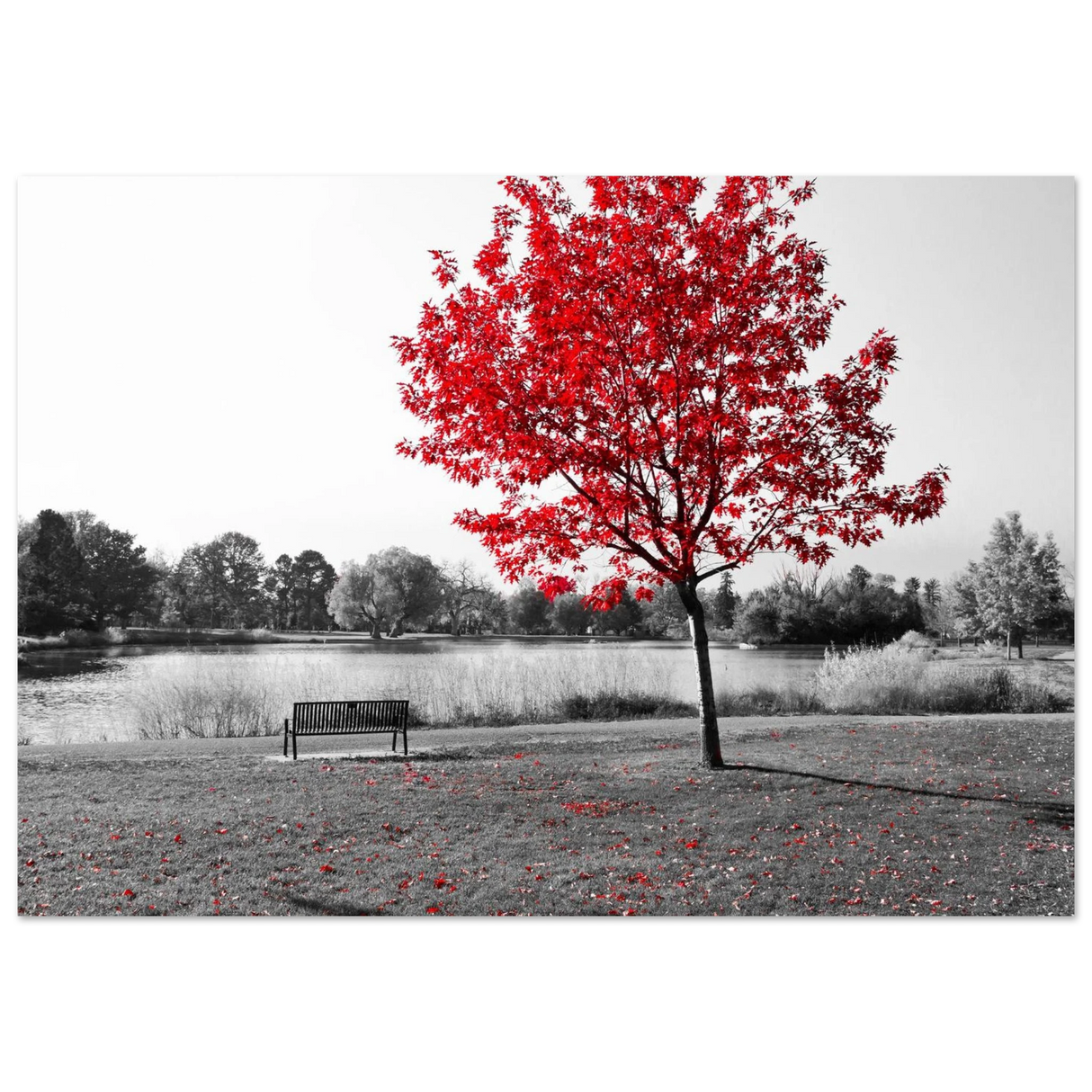 eae19b52-b4d0-4a22-bf37-61216a40cfdc