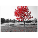 eae19b52-b4d0-4a22-bf37-61216a40cfdc
