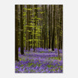  nature collection wall art spring