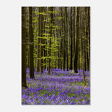  nature collection wall art spring