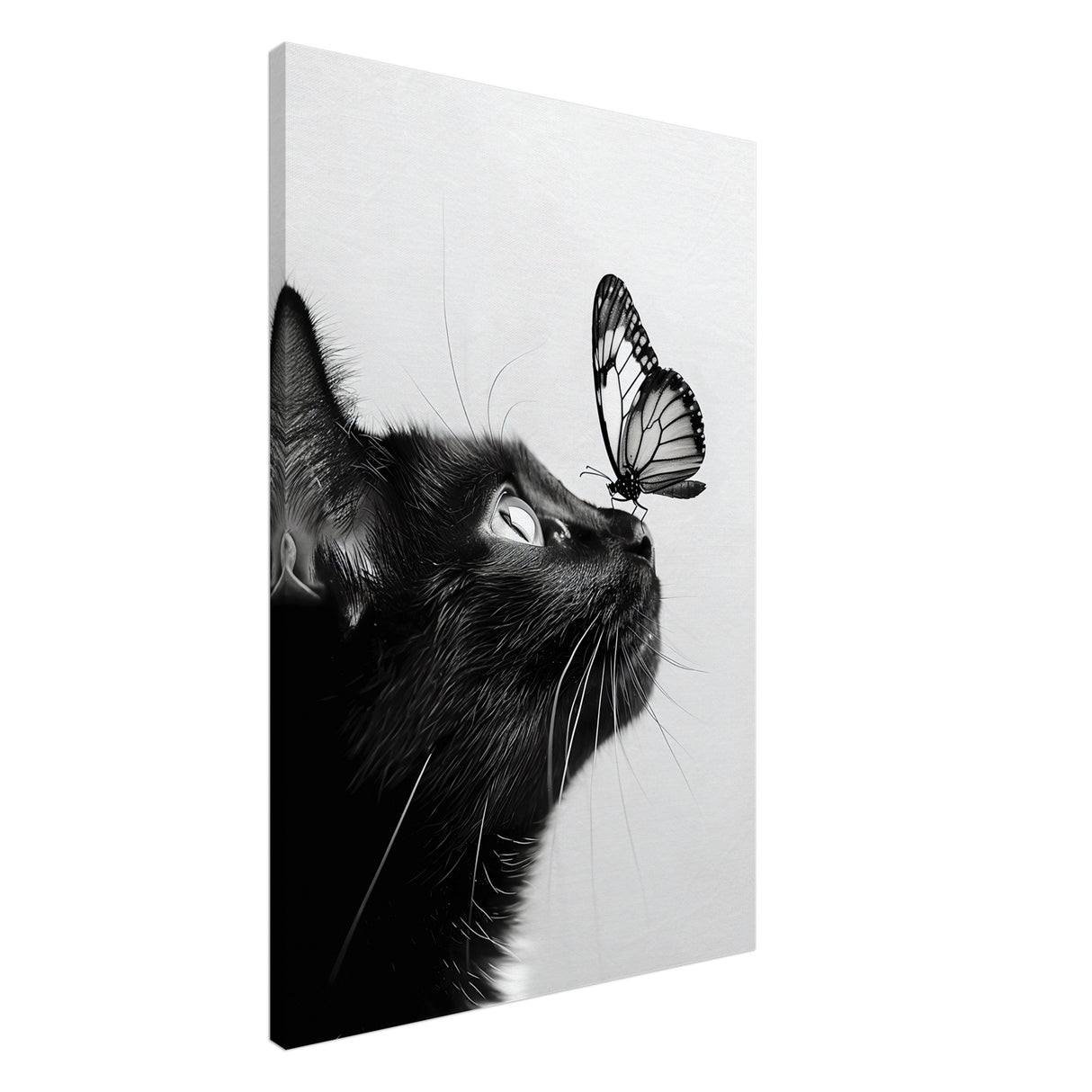  animal kingdom wall art cat butterfly