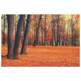 golden silence in autumn a tranquil forest escape wall art print40x60 cm / 16x24″Acrylic Print