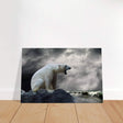 Echoes of the Arctic: The Roaring Majesty | Animal wall art print - Brushed Aluminum Print - 60x90 cm / 24x36″ - 