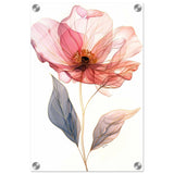 Ethereal Blossom | contemporary floral illustration - Acrylic Print - 30x45 cm / 12x18″ - 