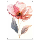 Ethereal Blossom | contemporary floral illustration - Acrylic Print - 60x90 cm / 24x36″ - 