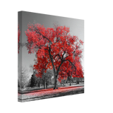 crimson crown monochrome autumn elegance wall art print50x50 cm / 20x20″Canvas