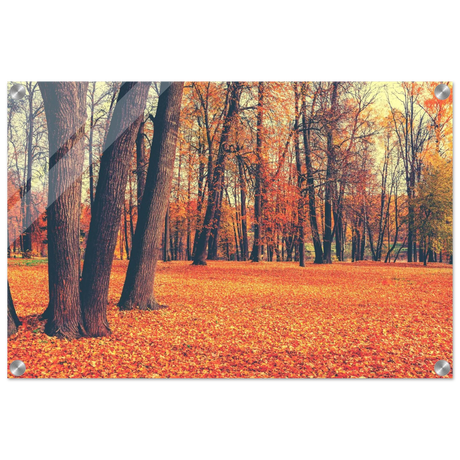 golden silence in autumn a tranquil forest escape wall art print20x30 cm / 8x12″Framed Canvas