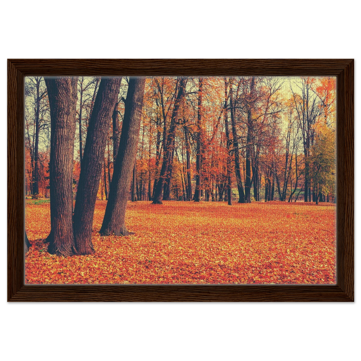 golden silence in autumn a tranquil forest escape wall art print30x45 cm / 12x18″Fine Art Poster