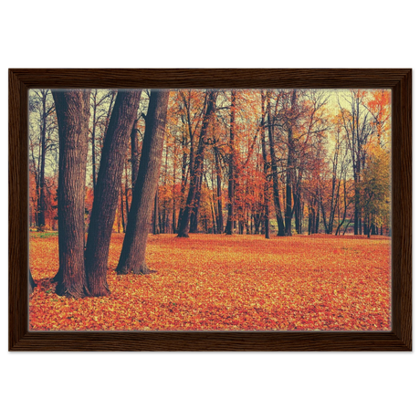 golden silence in autumn a tranquil forest escape wall art print30x45 cm / 12x18″Fine Art Poster