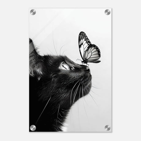  animal kingdom wall art cat butterfly
